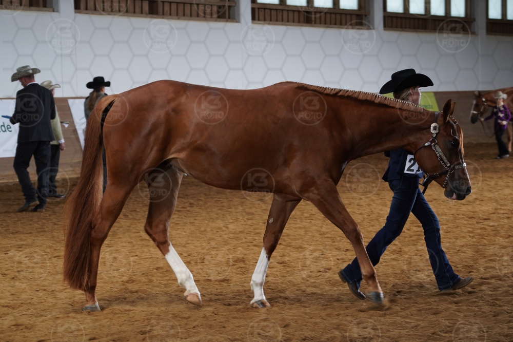 s_A9_03877.jpg